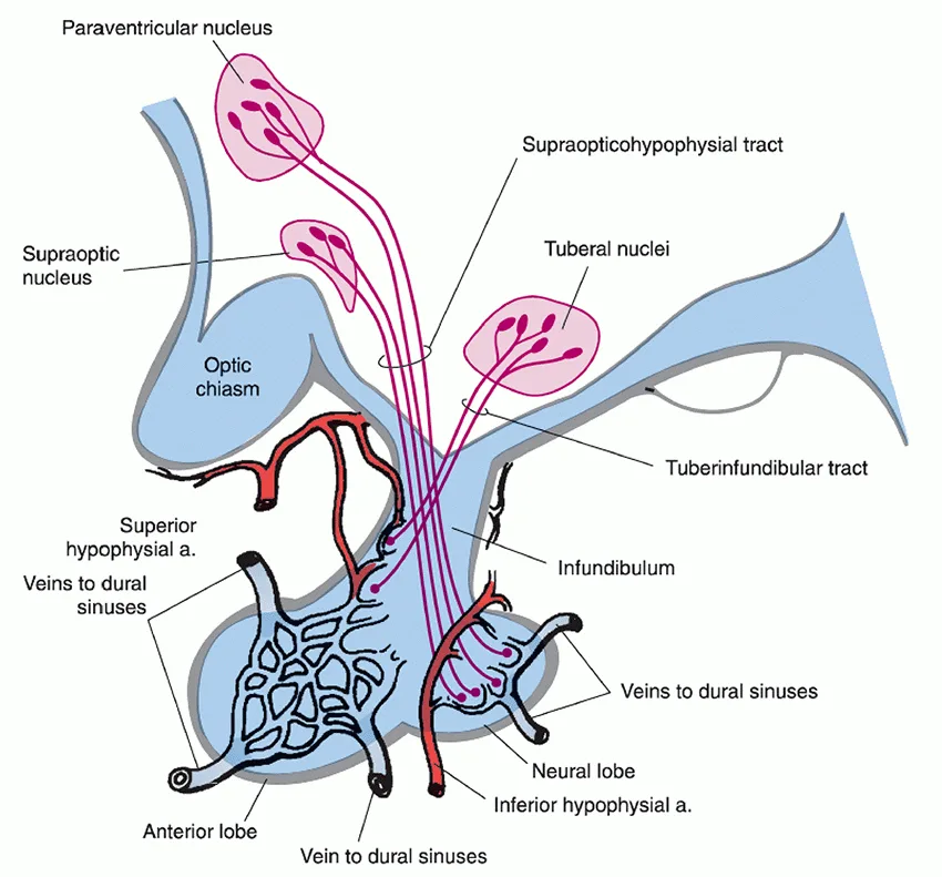 Fig. 7-1