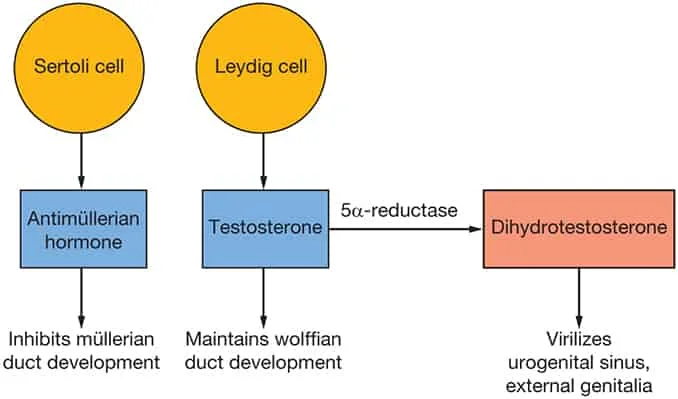 Fig. 3.1