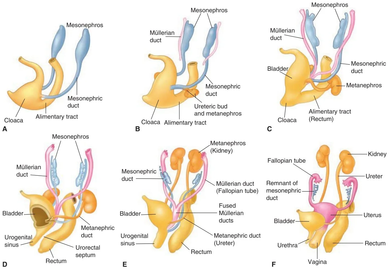 Fig. 3-2