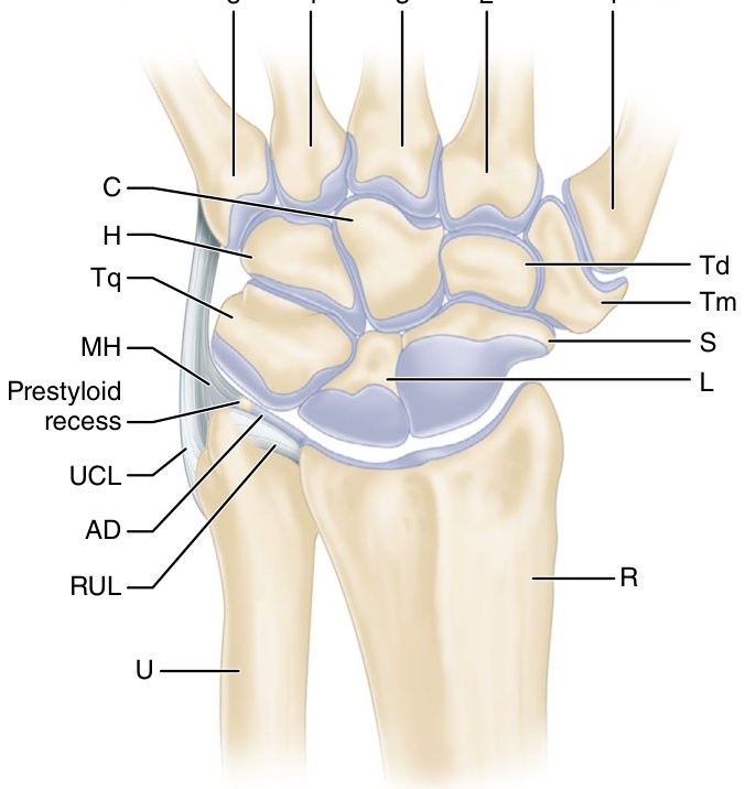 Figure 74.2