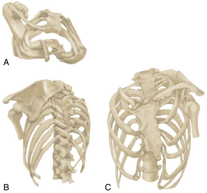 Figure 33.1